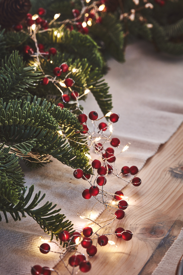 Luces de bayas rojas