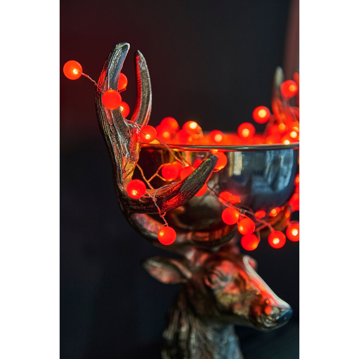 Snowberry Lights