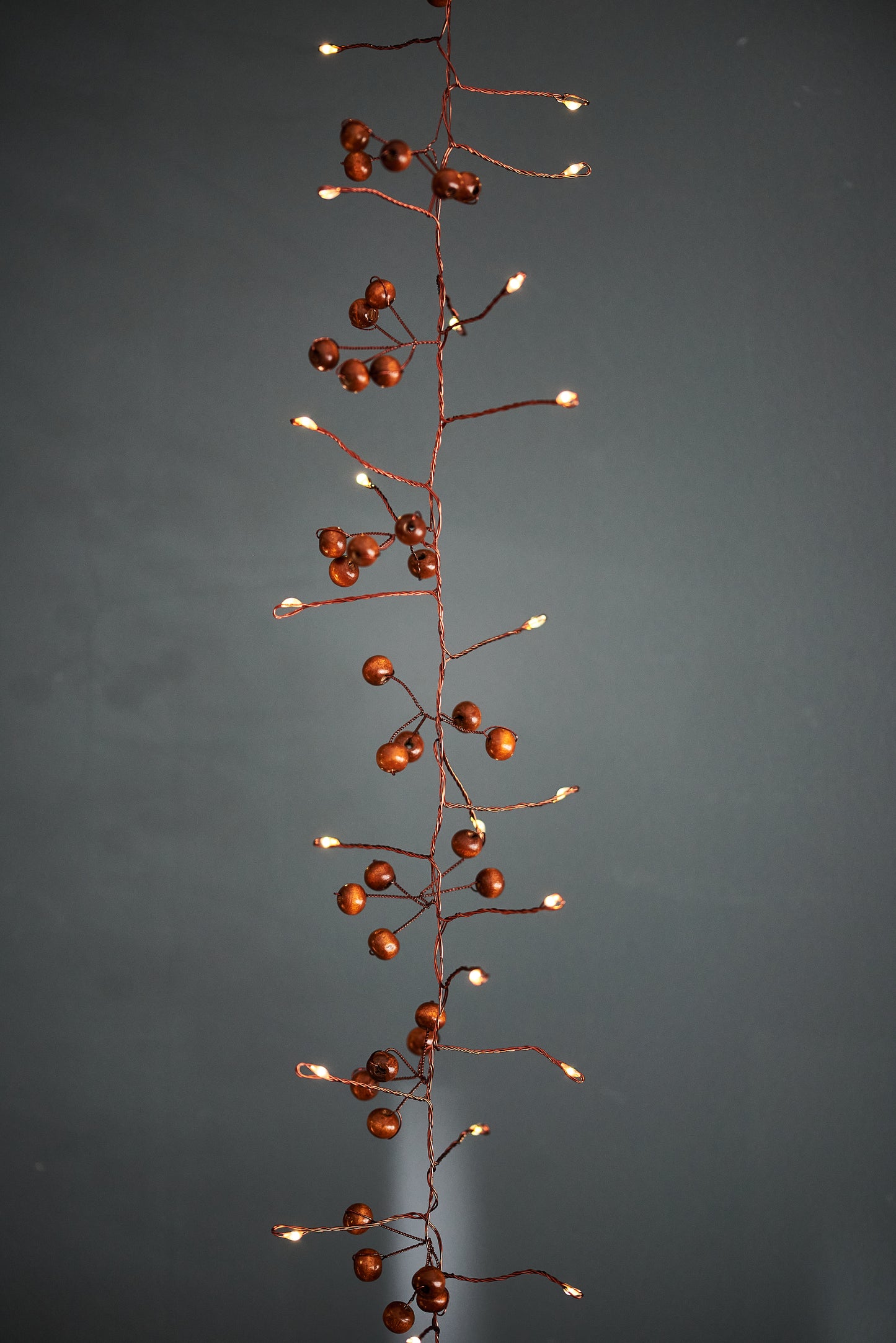 Woodland Berry Fairy Lights