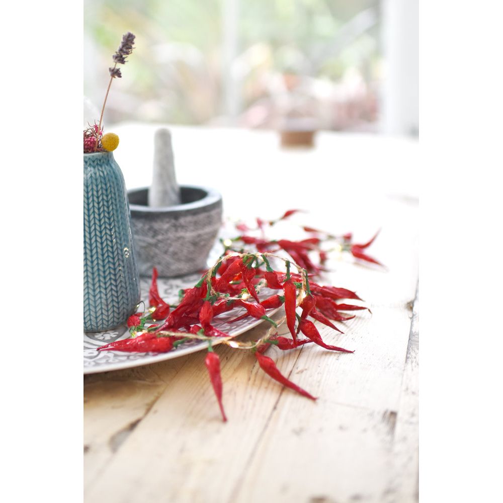 Chilli String Lights
