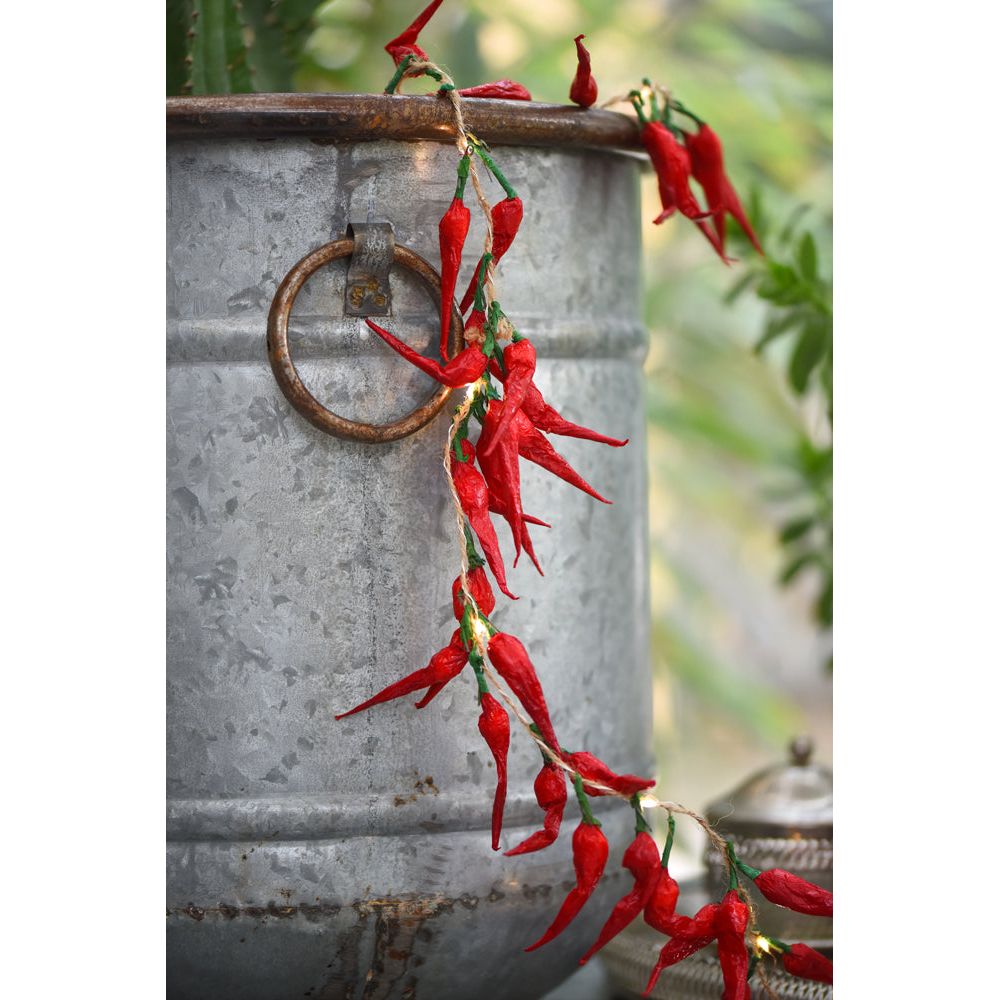 Chilli String Lights