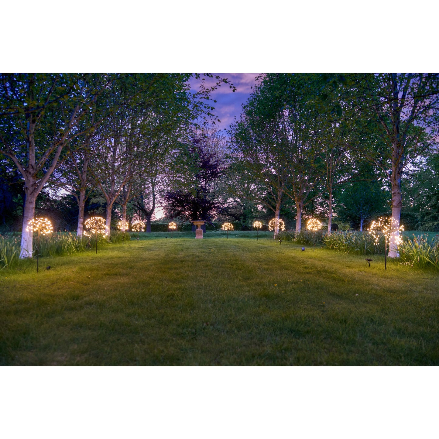 Solar Dandelion Light | Dandelion Garden Lights | Lumina Of London