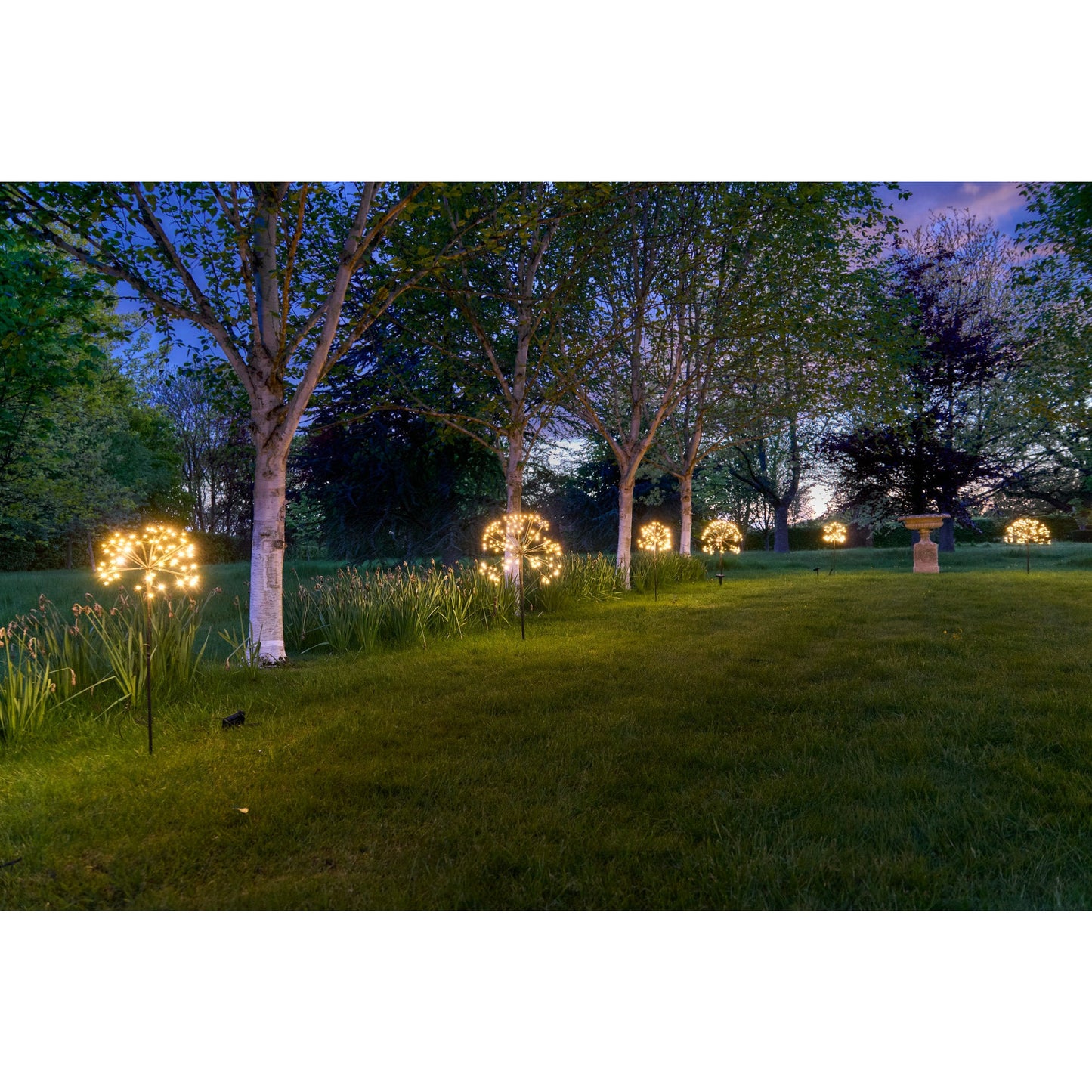 Solar Dandelion Light | Dandelion Garden Lights | Lumina Of London