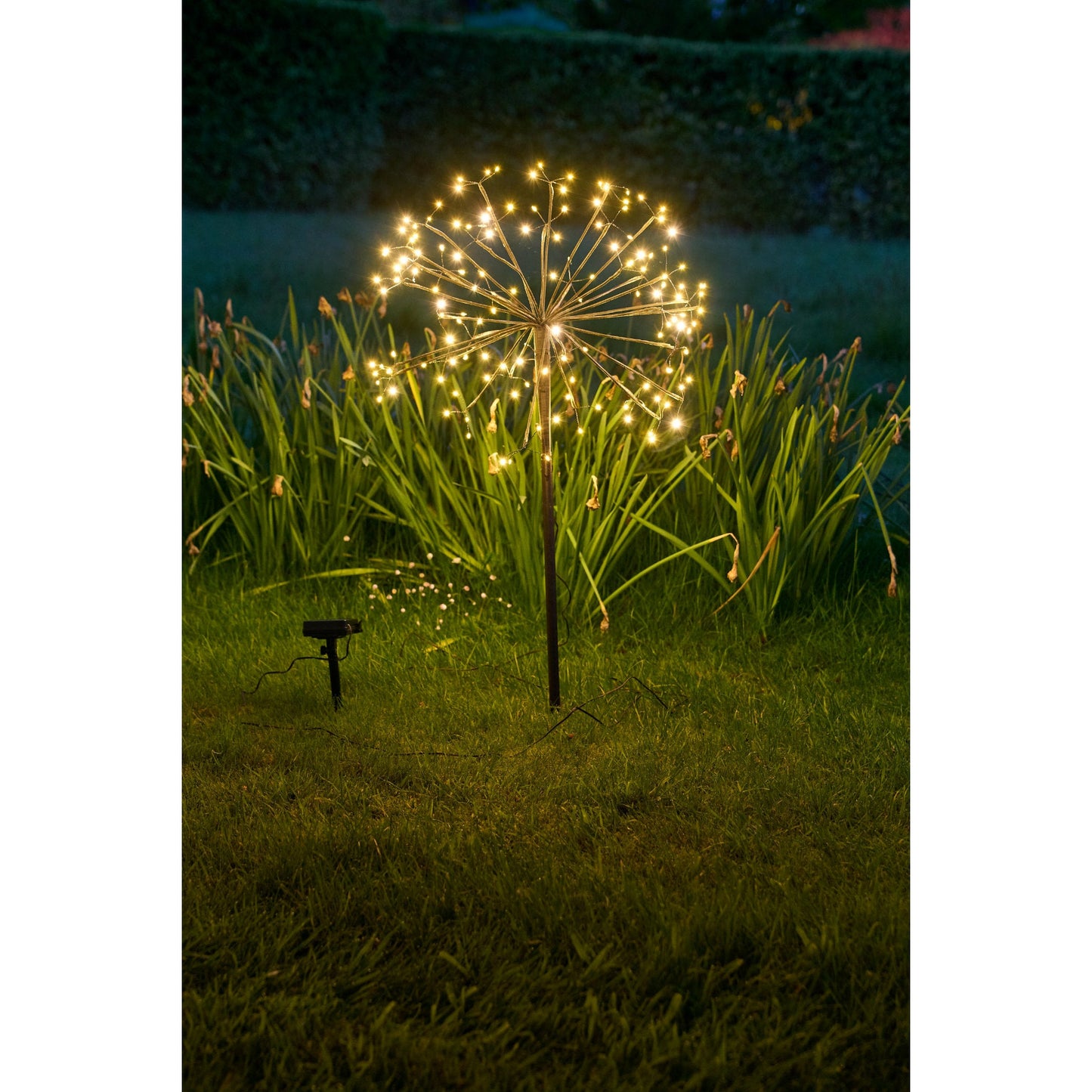 Solar Dandelion Light | Dandelion Garden Lights | Lumina Of London