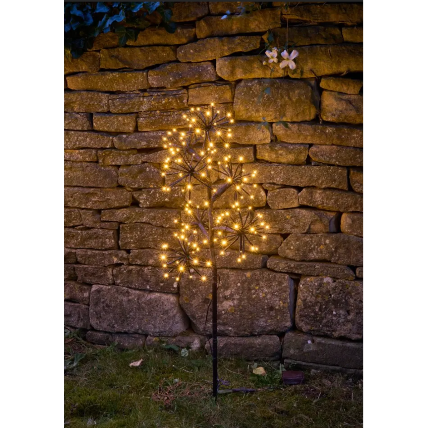 Solar Starburst Branch