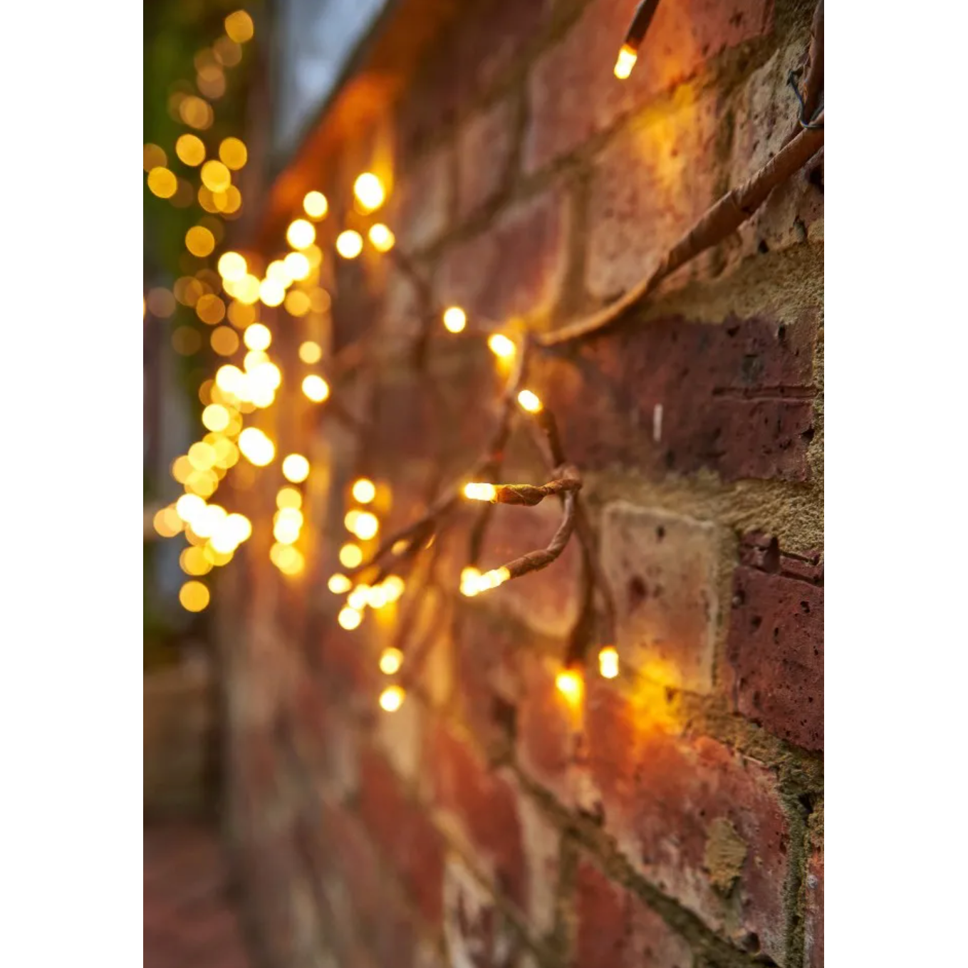 Solar Ivy Lights