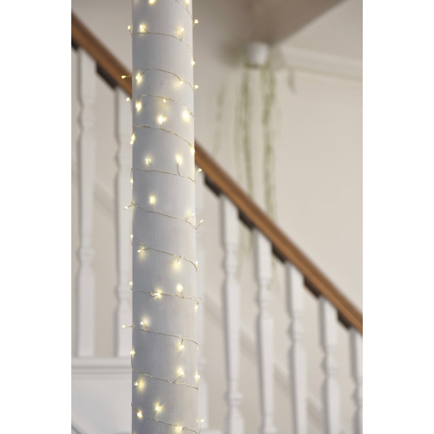 Cluster String Lights | Led Cluster String Lights | Lumina Of London