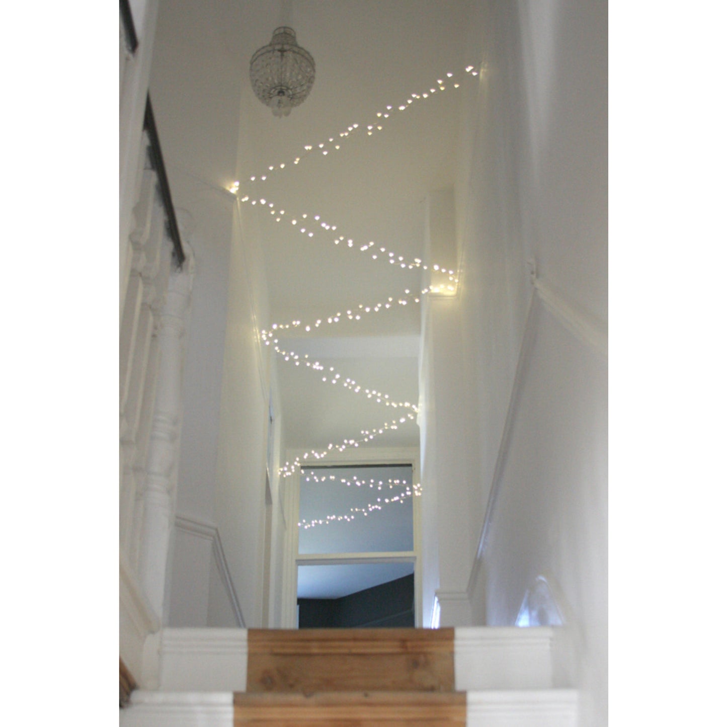 Cluster String Lights | Led Cluster String Lights | Lumina Of London