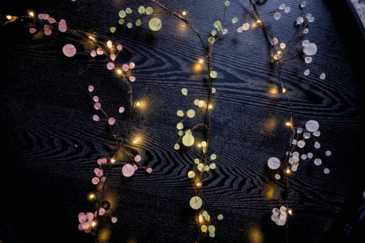 Blossom Fairy Lights - Matte
