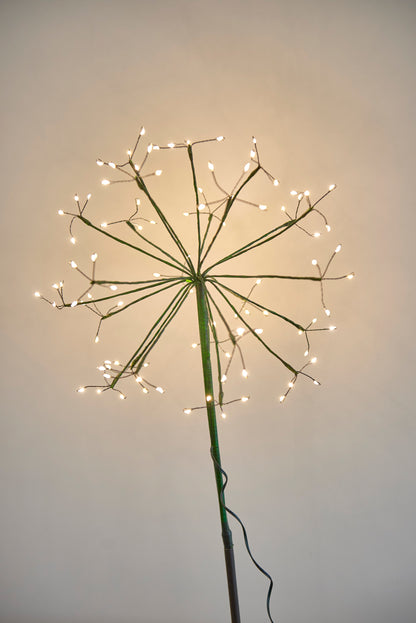 Solar Dandelion Lights - Green