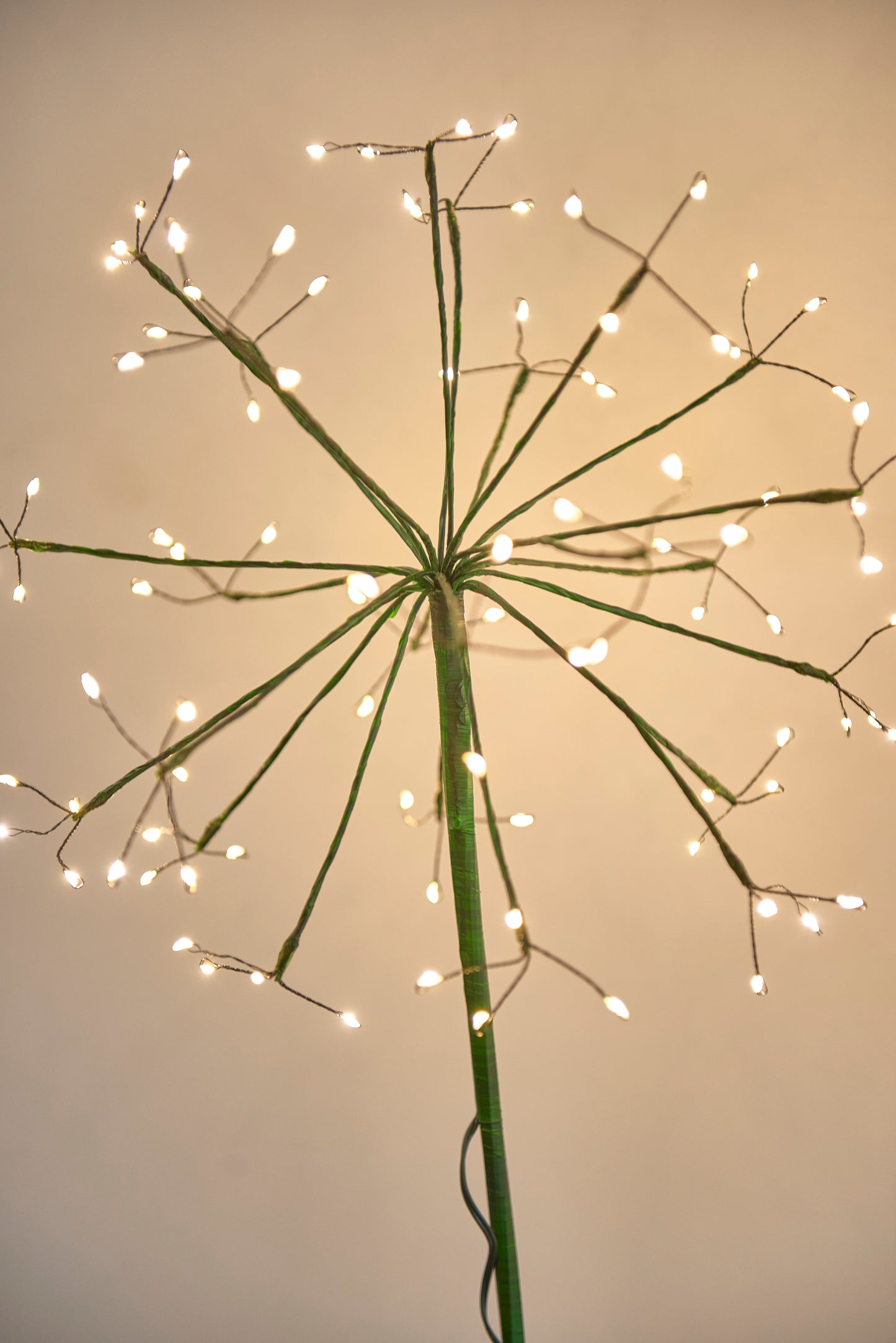Solar Dandelion Lights - Green