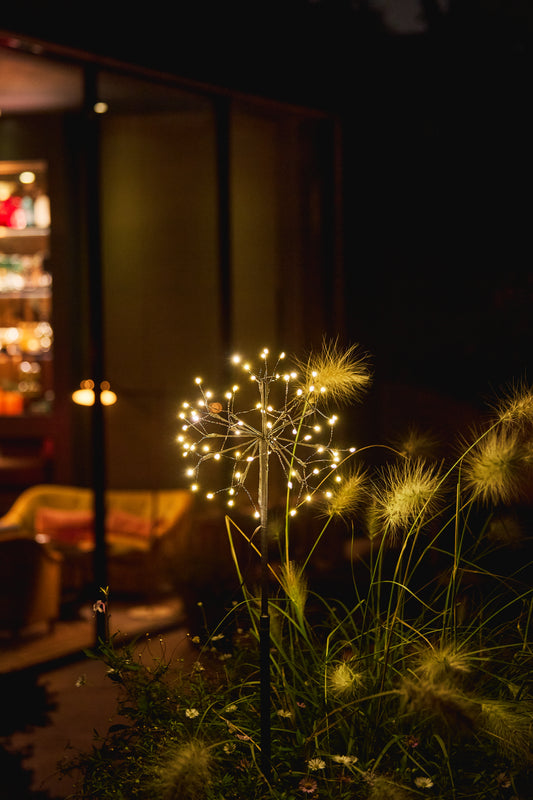 Mini Dandelion - Brown