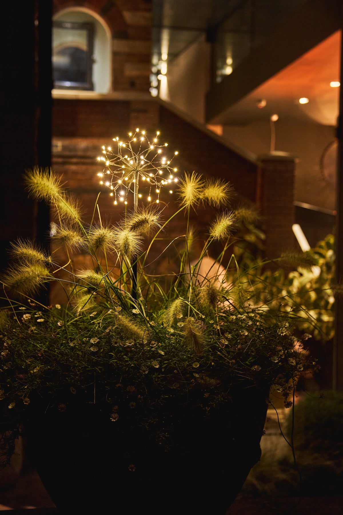 Mini Dandelion - Brown