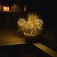 Mini Dandelion Trio - Brown