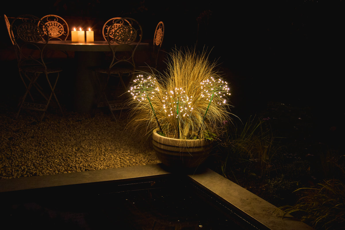 Mini Dandelion Trio - Brown