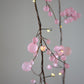 Blossom Fairy Lights - Matte