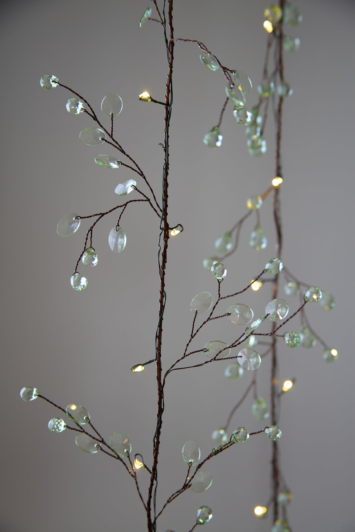 Blossom Fairy Lights - Clear