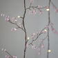 Blossom Fairy Lights - Clear