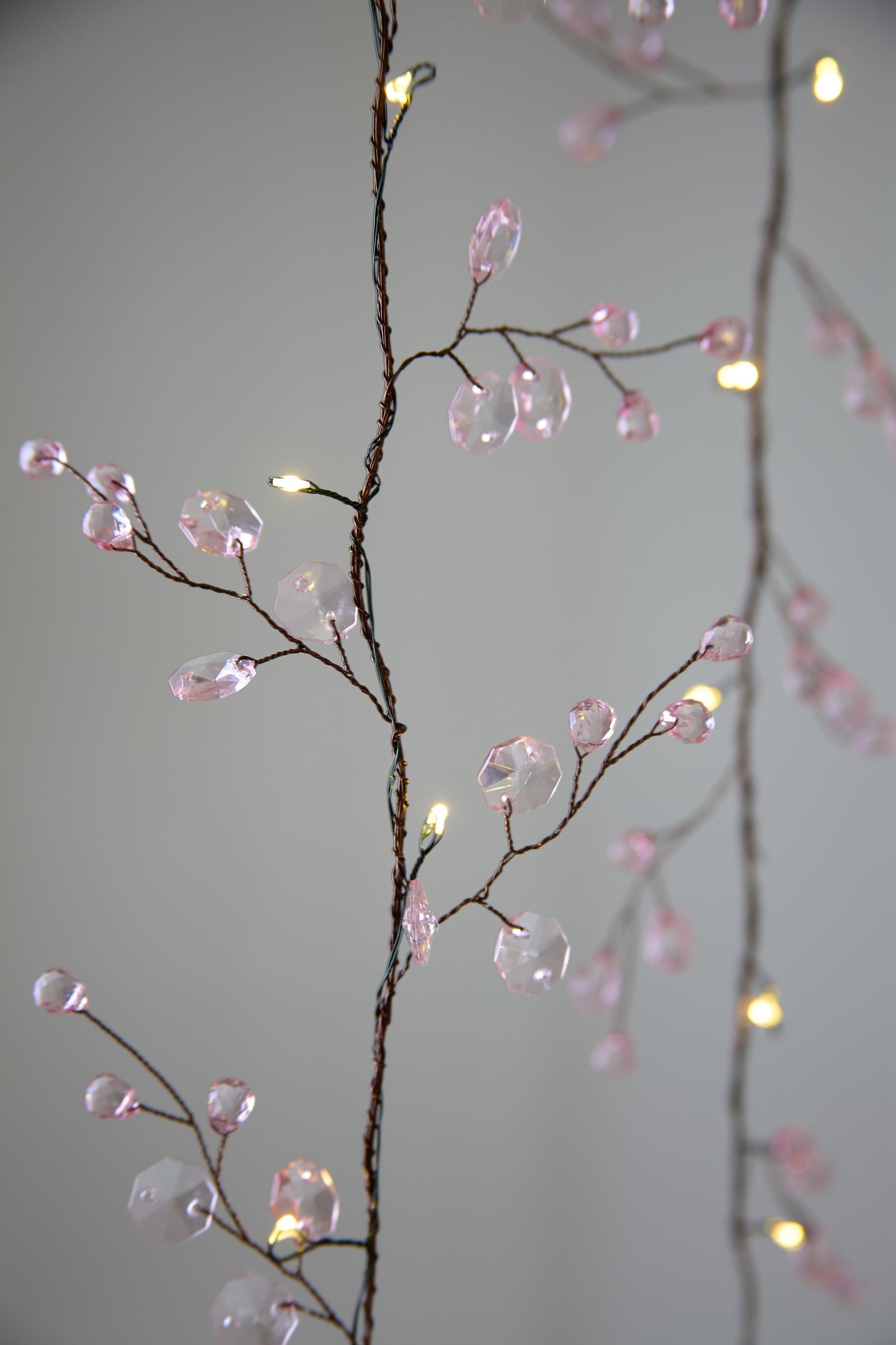 Blossom Fairy Lights - Clear