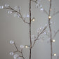 Blossom Fairy Lights - Clear