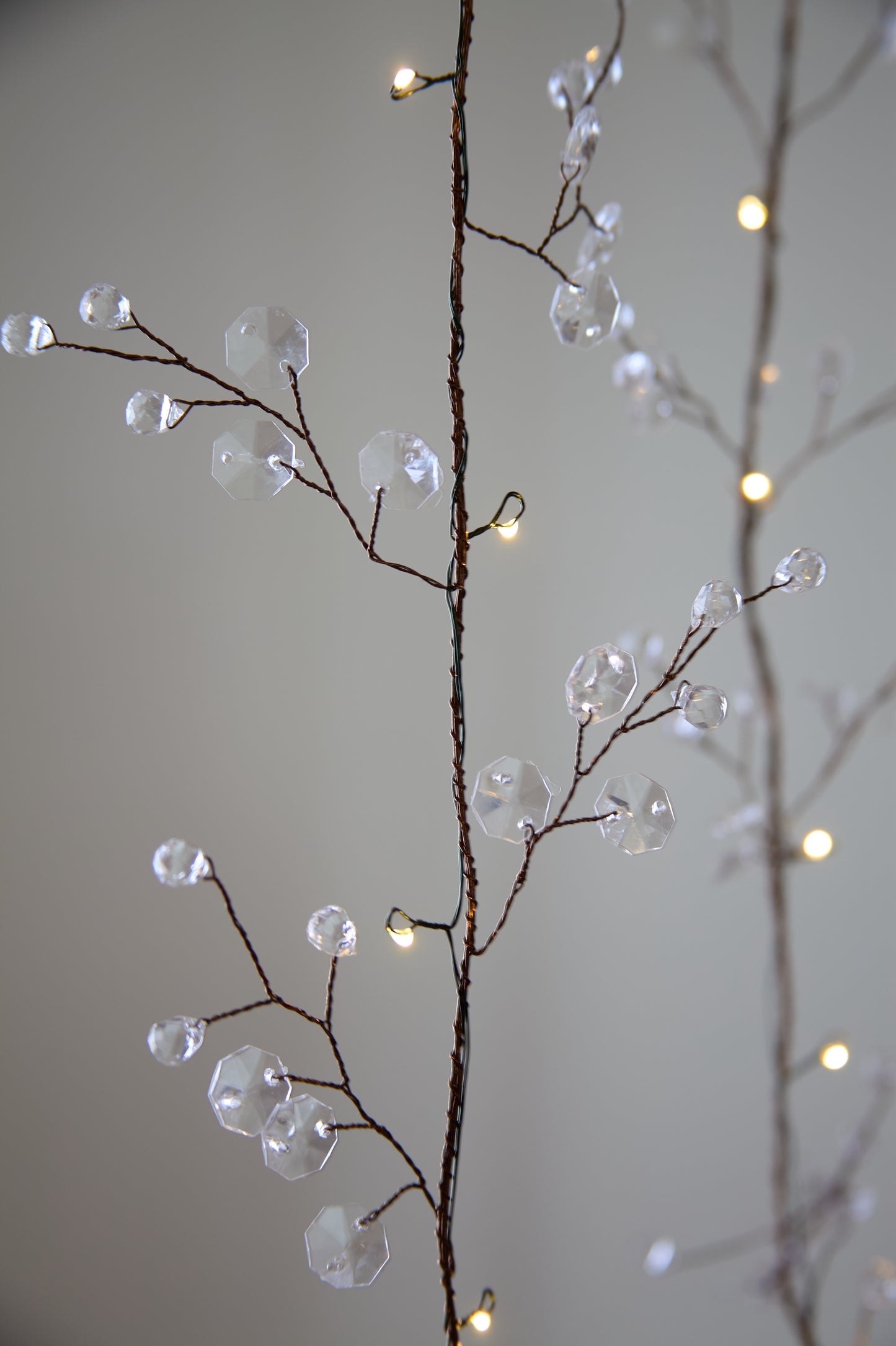 Blossom Fairy Lights - Clear