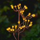 Solar Fennel Branch
