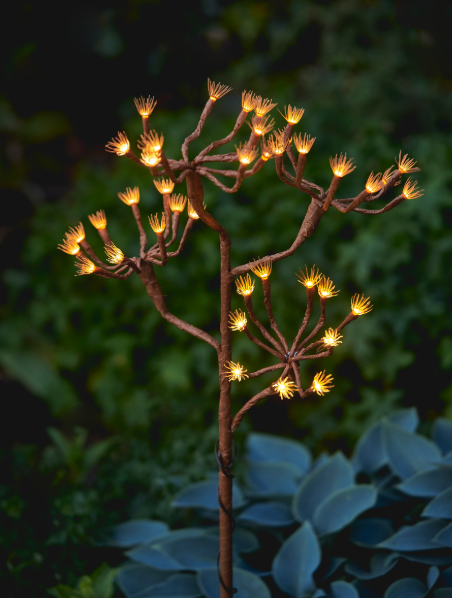 Solar Fennel Branch