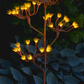 Display Model Wild Fennel Branch
