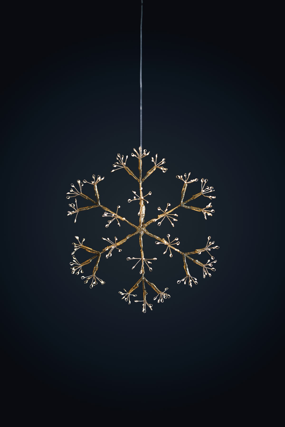 Snowflake Champagne Hanging Light