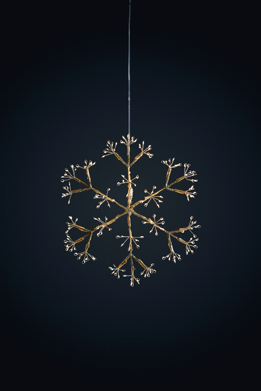 Snowflake Champagne Hanging Light
