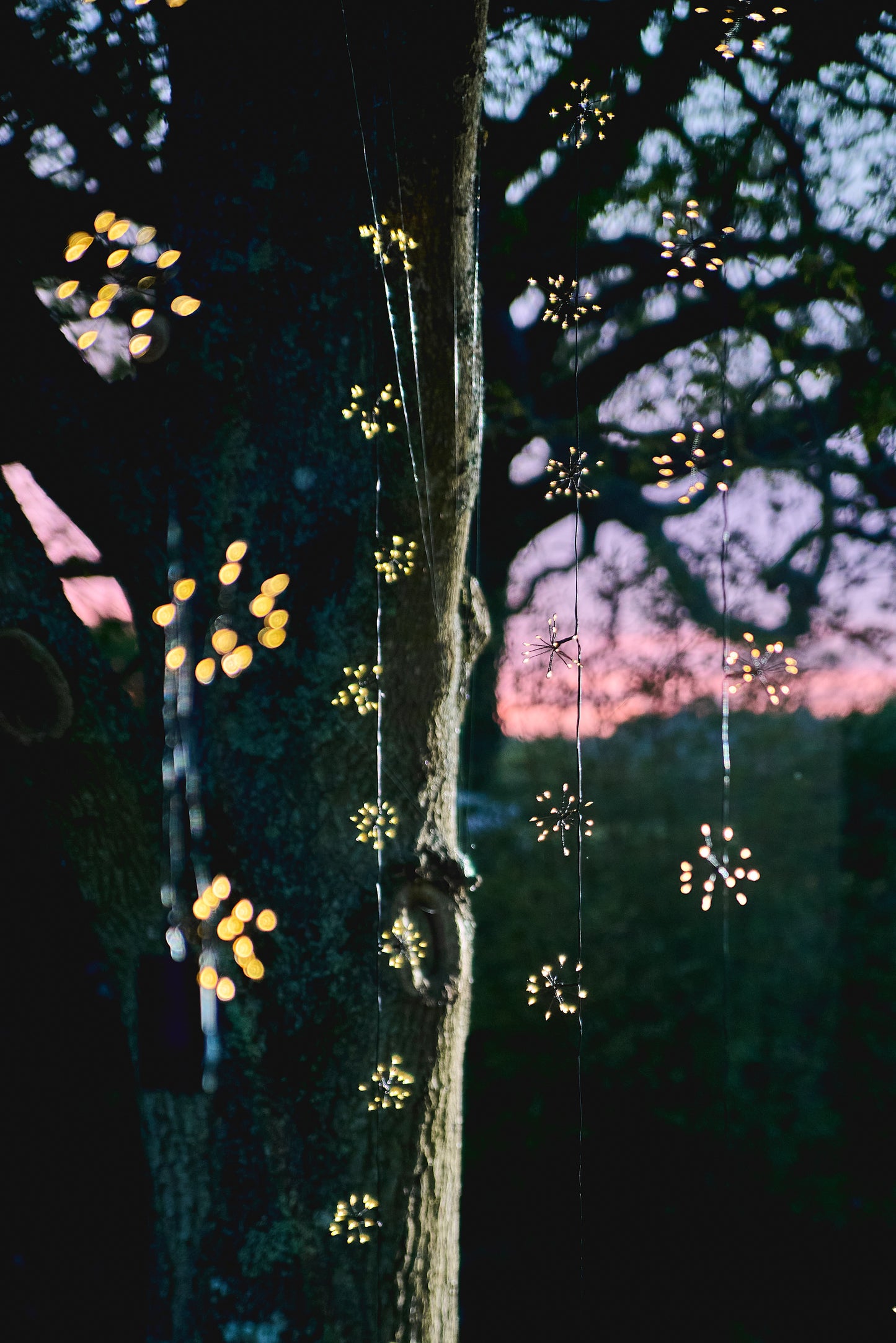 Solar Starburst Chain Light - Black