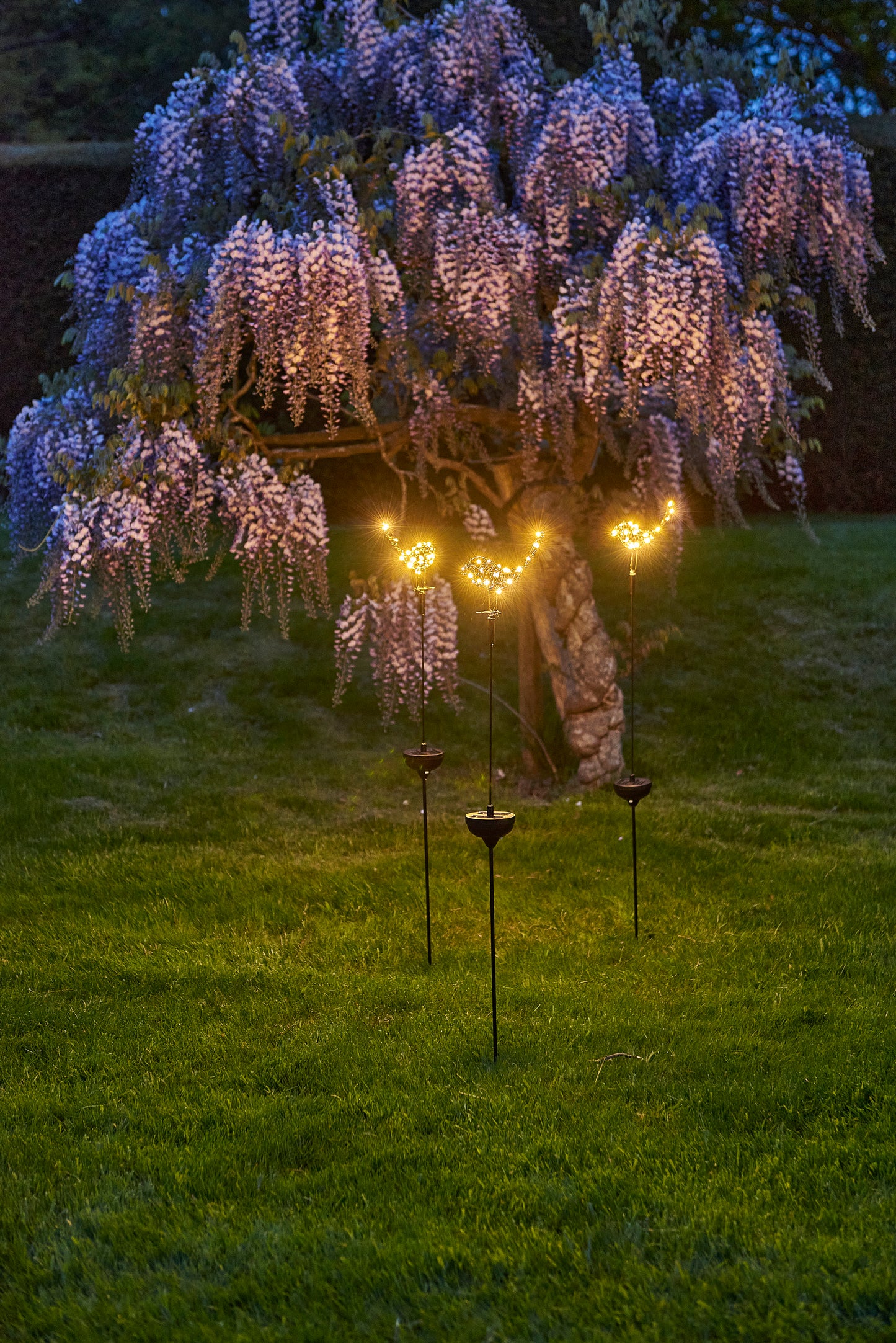 Solar Robin Stake Light