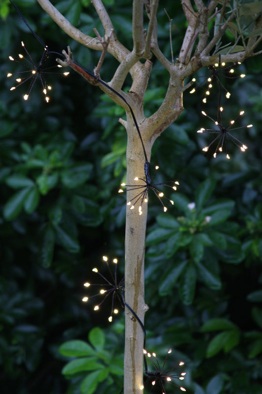 Solar Starburst Chain Light - Black