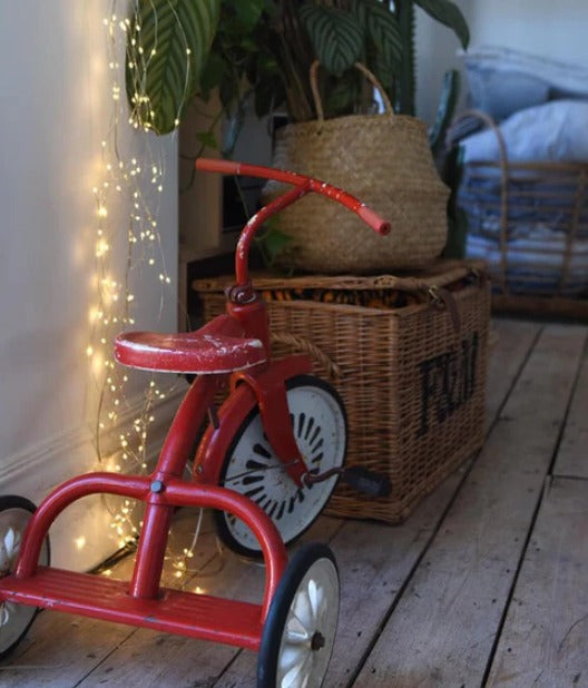 Cascade Silver Plug In