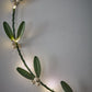 Mistletoe Wreath
