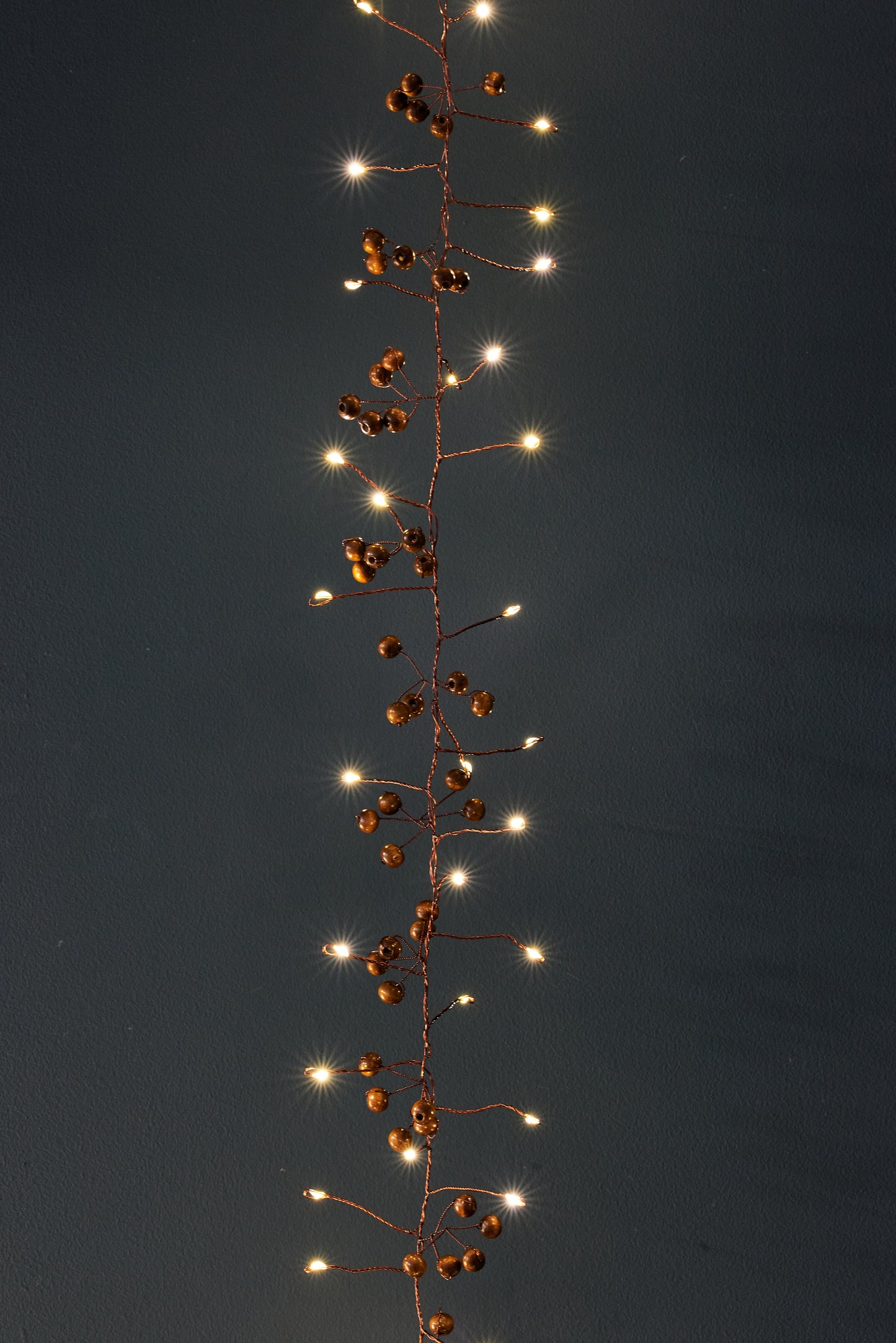 Woodland Berry Fairy Lights
