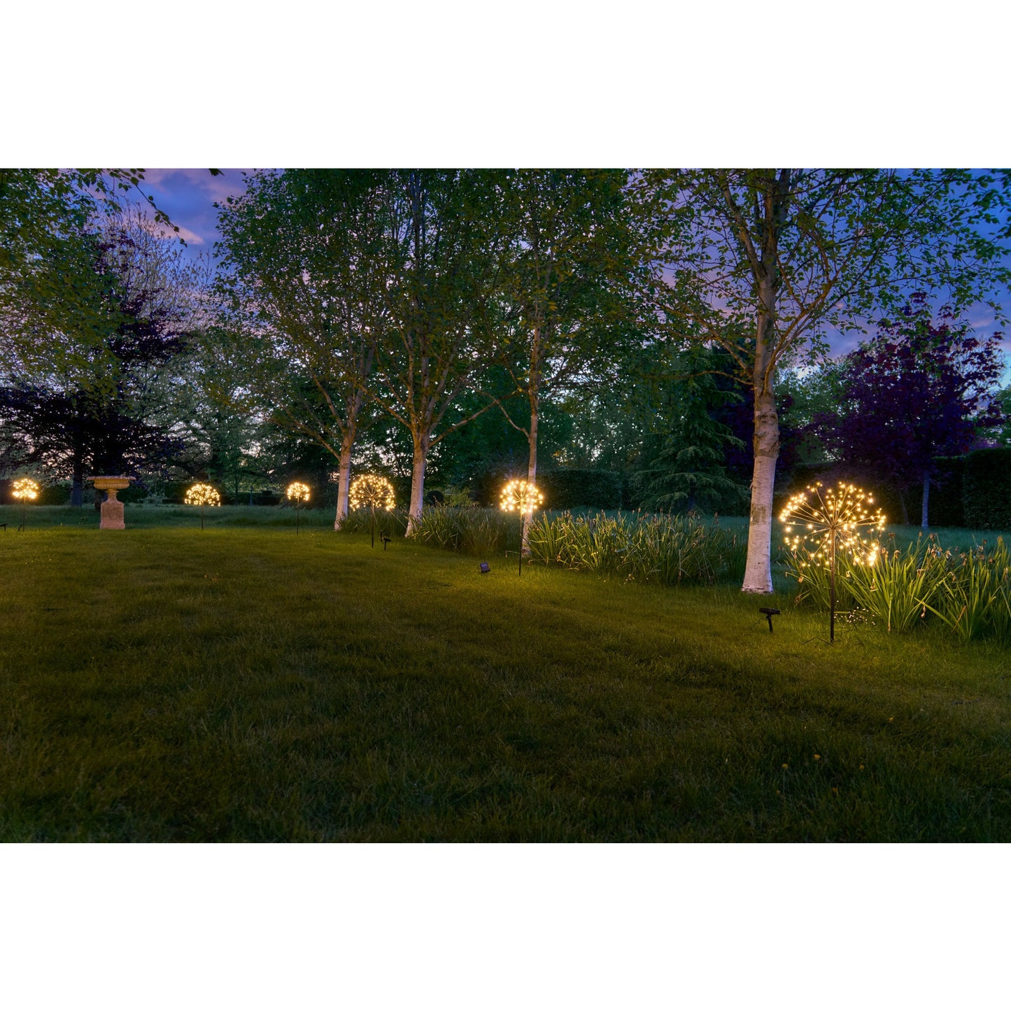 Solar Dandelion Light | Dandelion Garden Lights | Lumina Of London