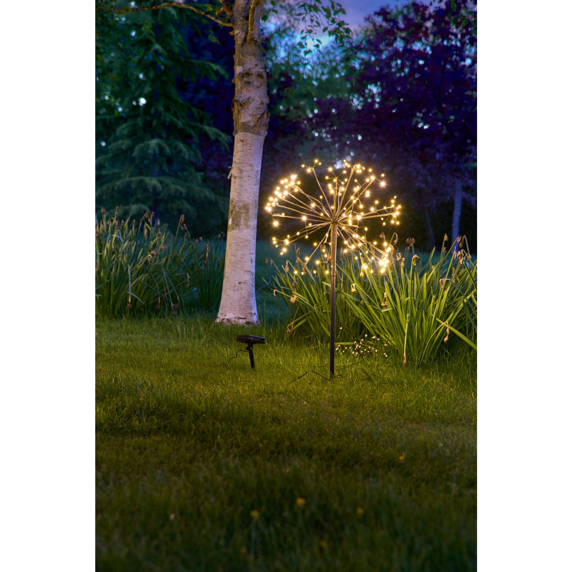 Solar Dandelion Light | Dandelion Garden Lights | Lumina Of London